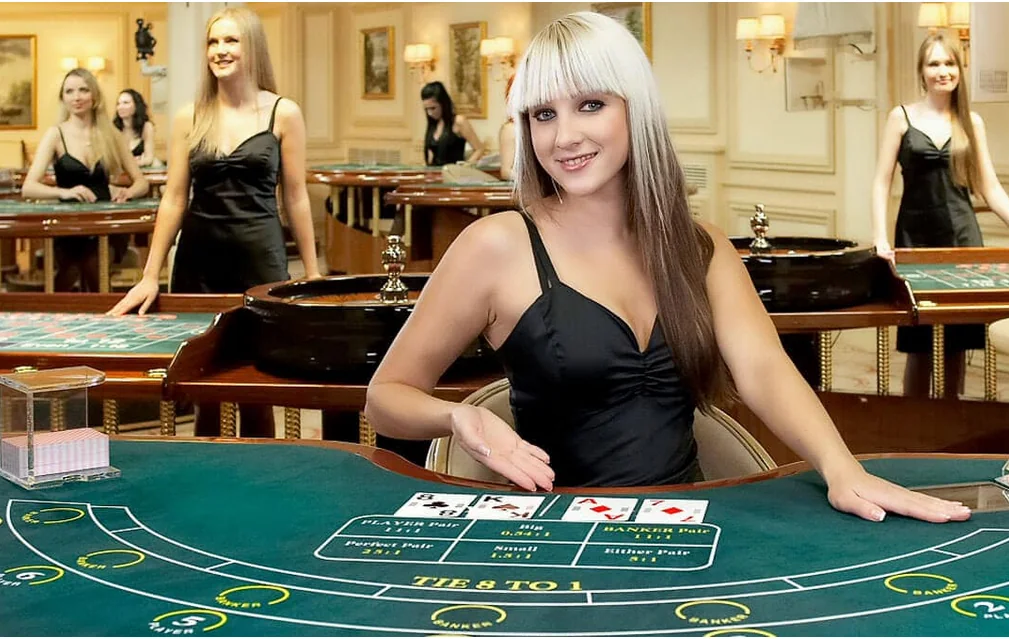 Dealer memandu ronde pada meja kasino live